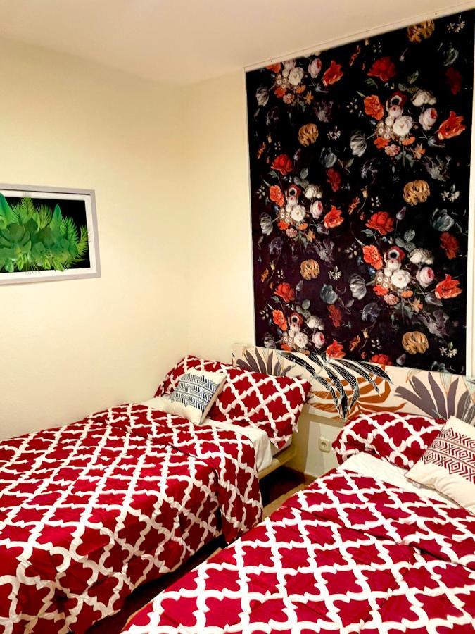 Sol Montera & Parking Tph Bed & Breakfast มาดริด ภายนอก รูปภาพ